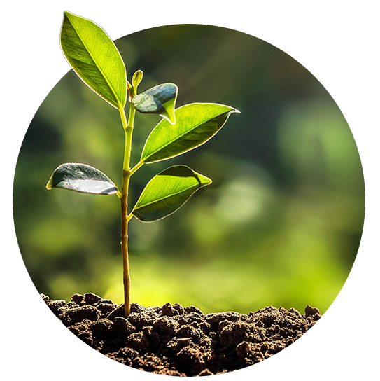 mission-guide-into-future-circle