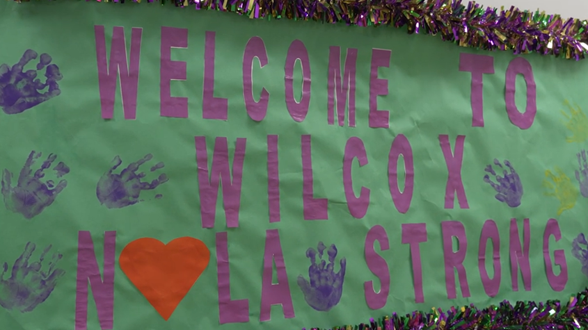 wilcox-video-thumbnail